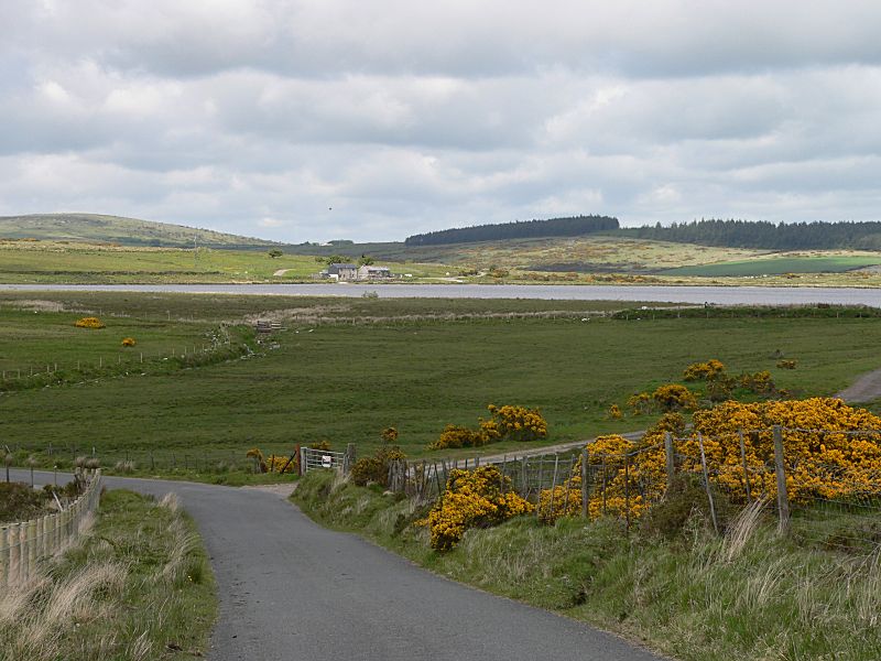 Dozmary Pool View