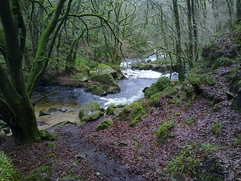 Golitha Falls