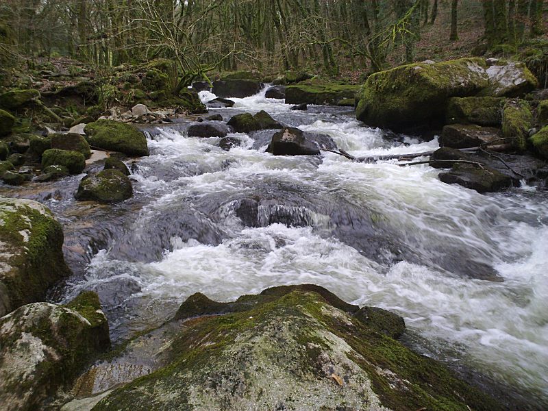 Golitha January Lower Falls