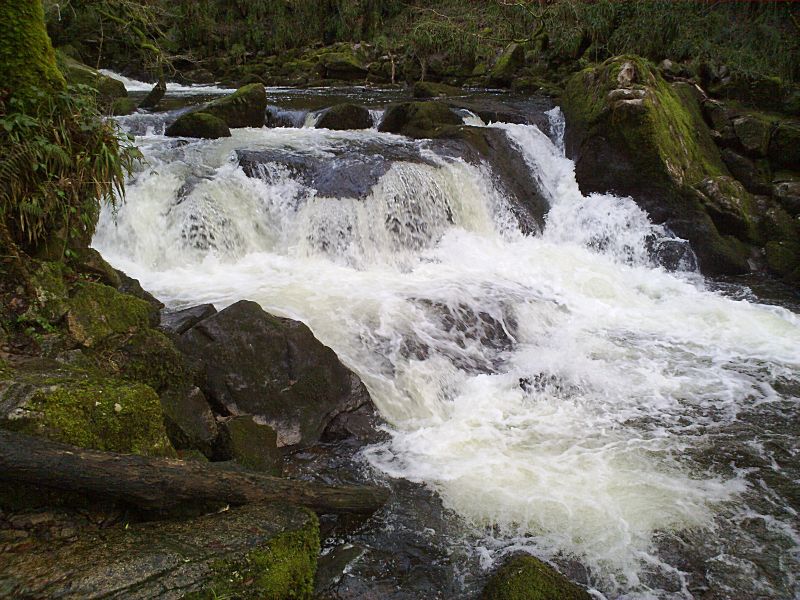 Golitha January Lower Falls