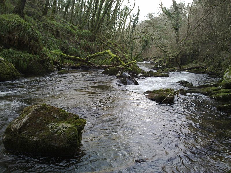 Golitha January View down Falls