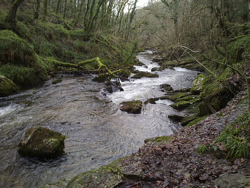 Golitha January towards Bottom Pool