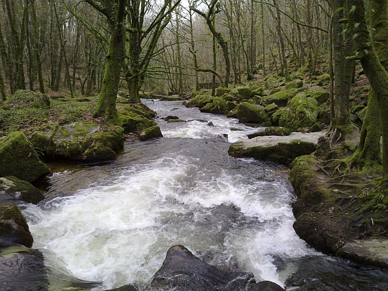 Golitha January Upper falls