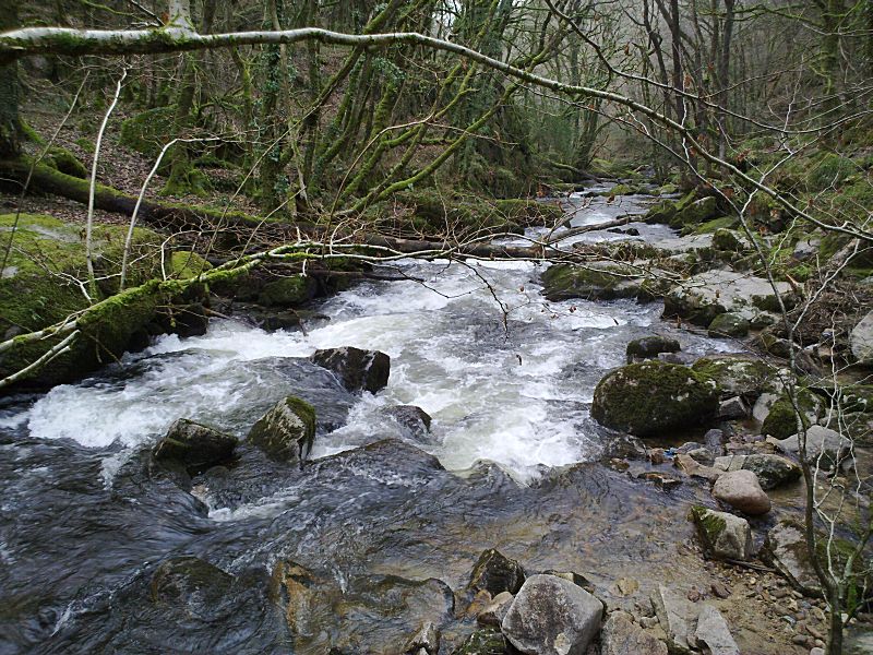 Golitha January Upper Falls