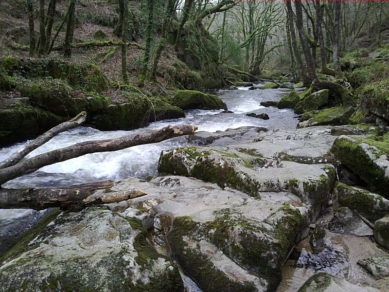 Golitha January Upper falls