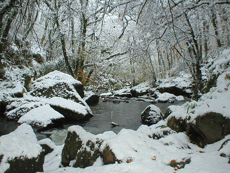 Golitha Snow Lower Falls