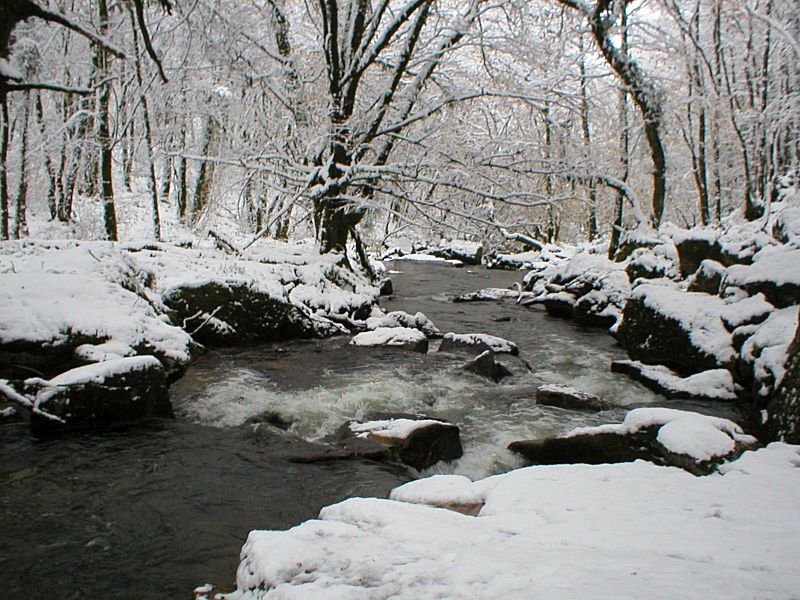 Golitha Snow Upper Falls