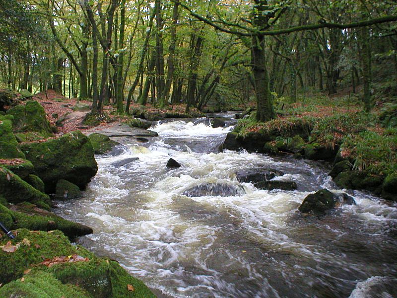 Golitha towards Bend