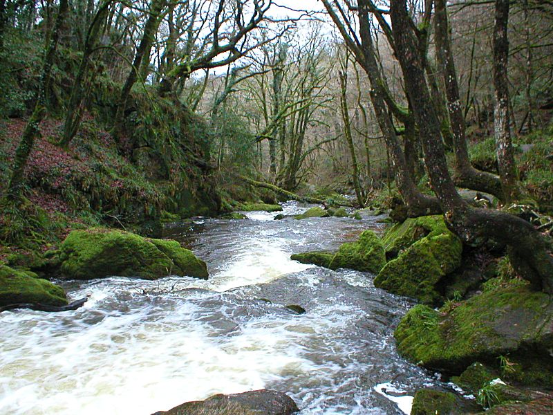 Golitha Falls