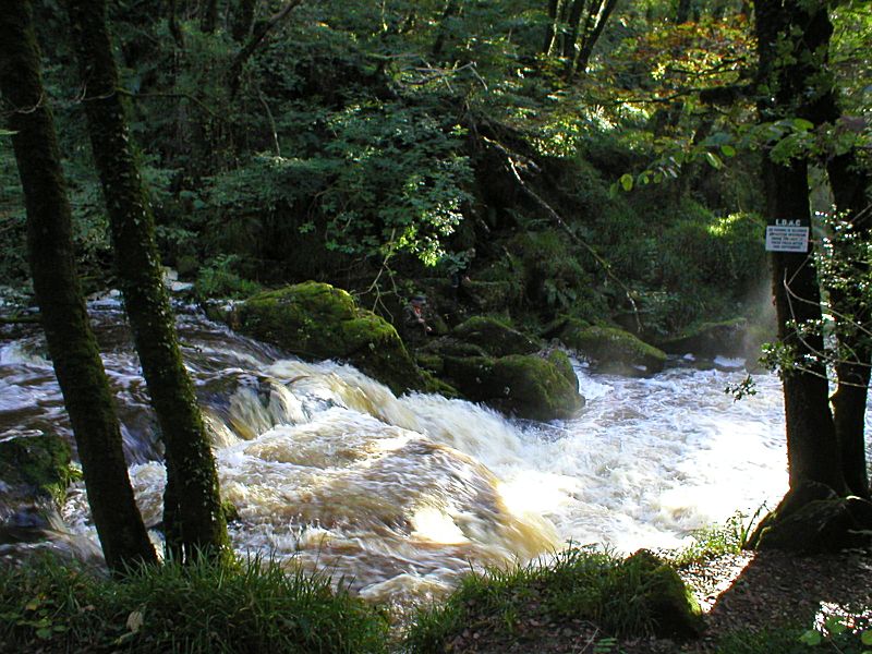 golitha Falls Fisherman