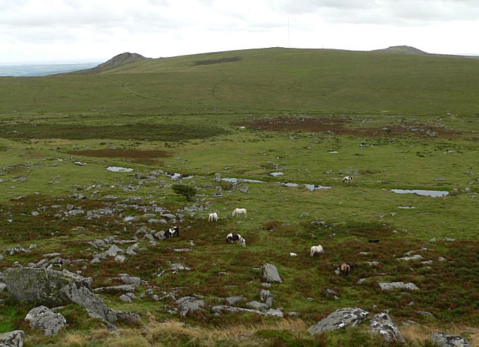 View from Kilmar Tor