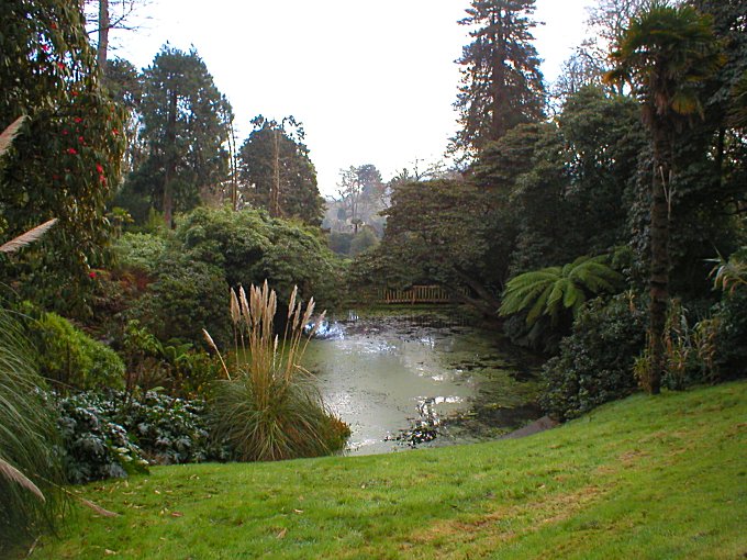 Heligan Jungle Walk