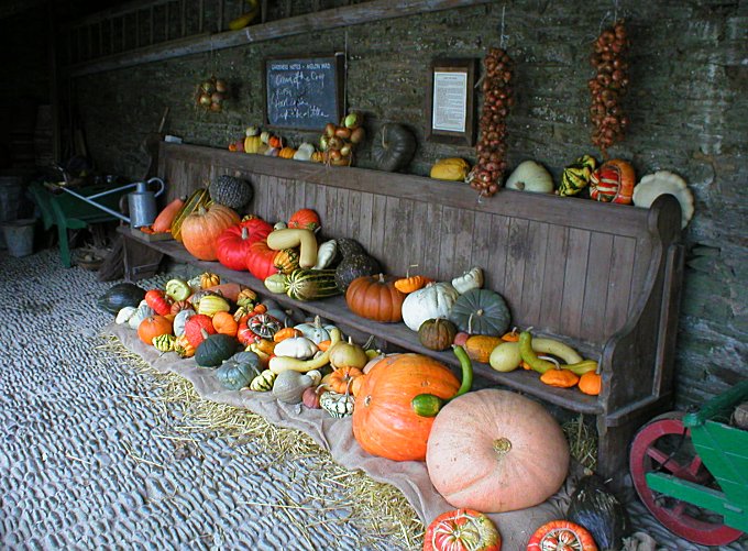 Heligan Autumn Fruits