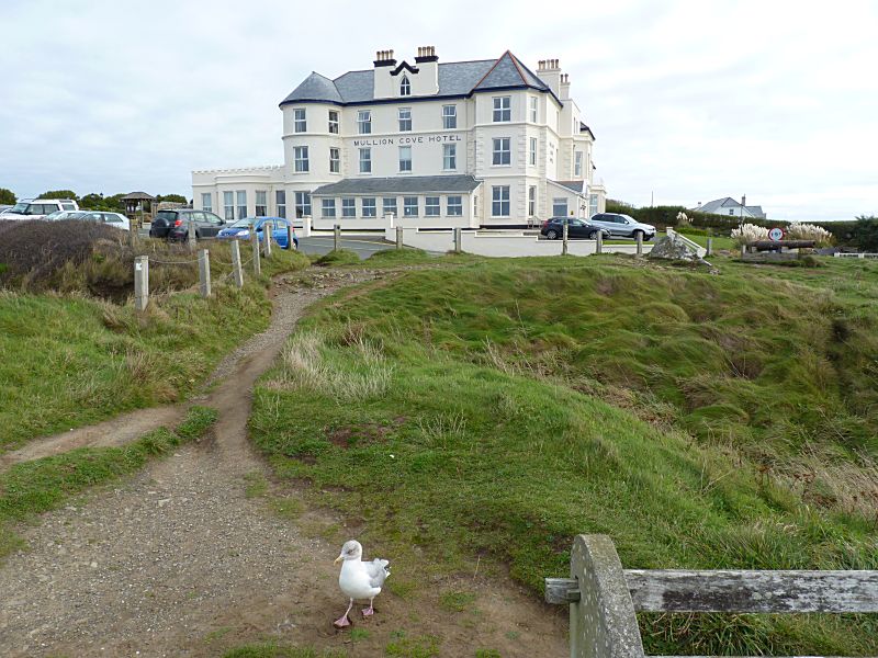 Mullion Cove Hotel and Jonathan