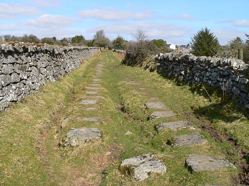 Liskeard & Caradon Railway Gonamena