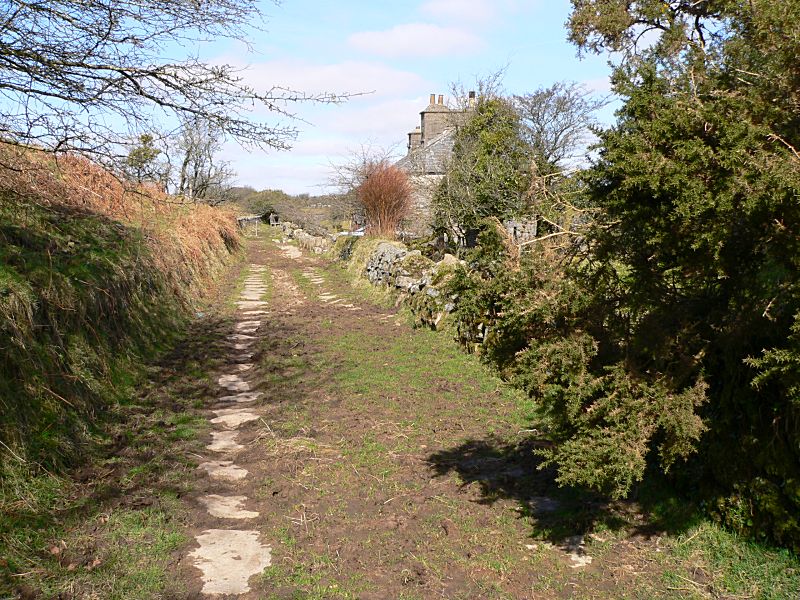 Liskeard & Caradon Railway Gonamena