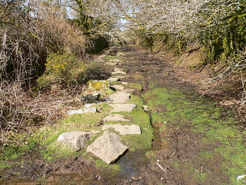 Liskeard & Caradon Railway Gonamena