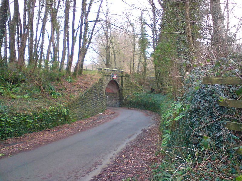 Liskeard & Caradon Railway Woodhill Bridge