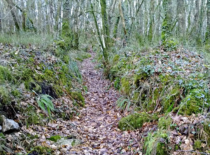 Wheal Victoria Flat-rod Run up from First Wheel-pit