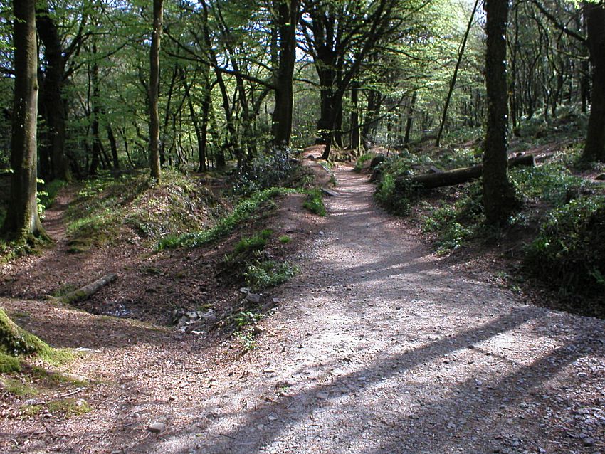 Wheal Victoria Upper Leat