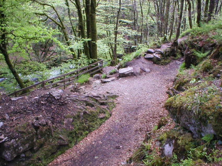 Wheal Victoria Upper Leat