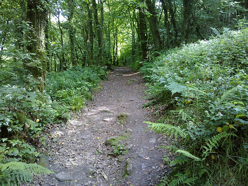 Wheal Victoria Miners' Track