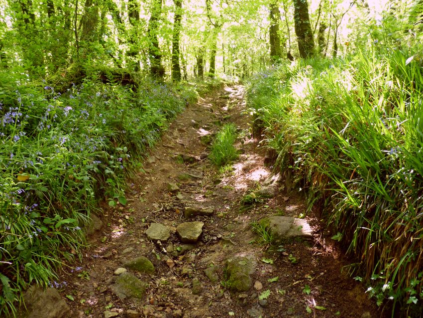 Wheal Victoria Miners' Track