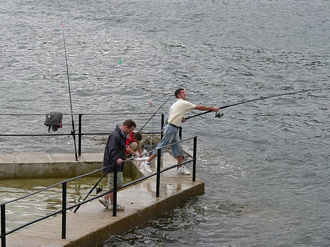 Fowey Fishing