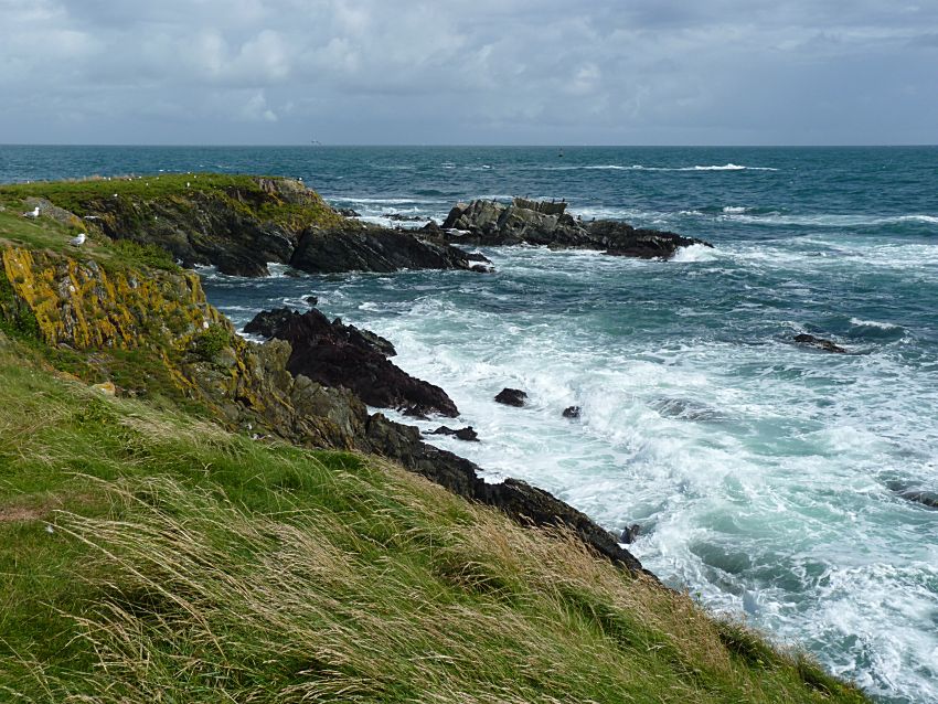 Visit to Looe Island