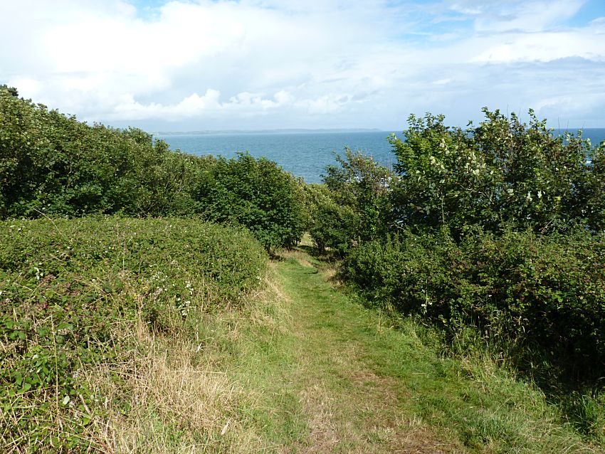 Visit to Looe Island