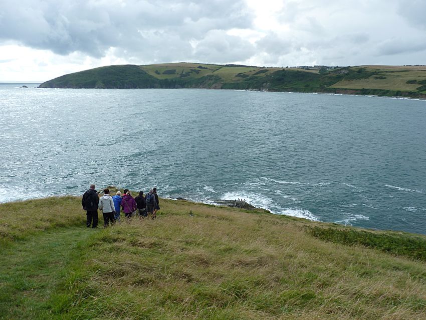 Visit to Looe Island