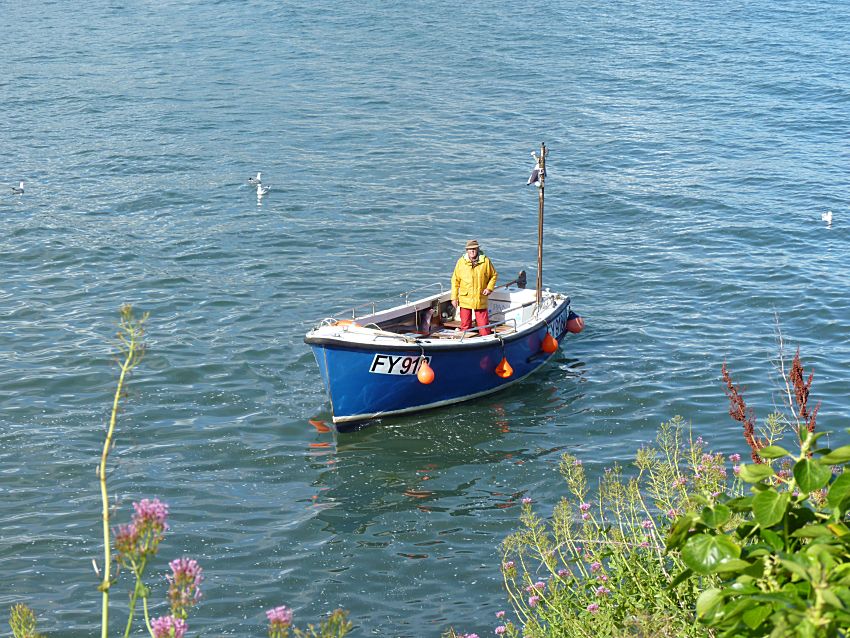 Visit to Looe Island