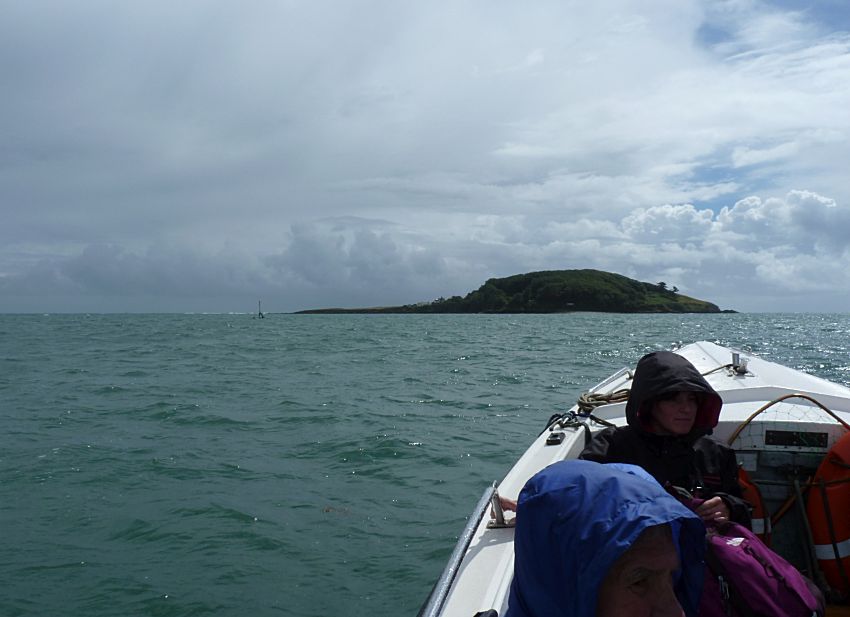 Visit to Looe Island