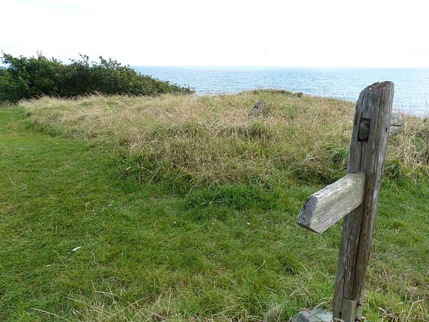 Visit to Looe Island