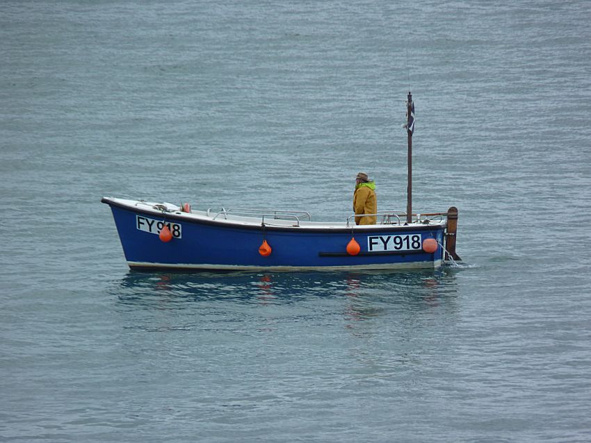 Visit to Looe Island