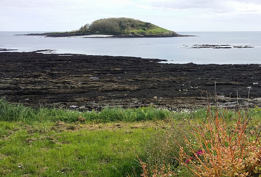 Looe Island