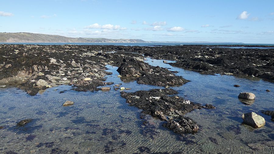 West Looe Rockpools