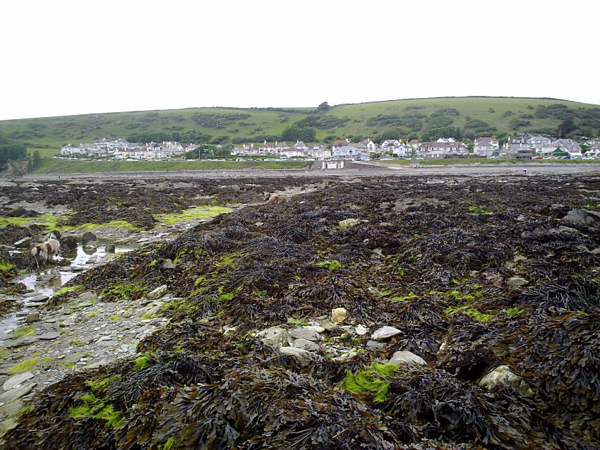 West Looe Rockpools