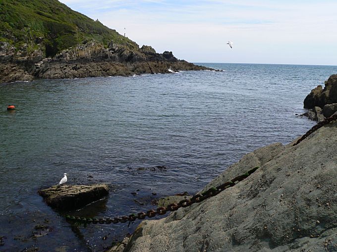 Polperro Harbour