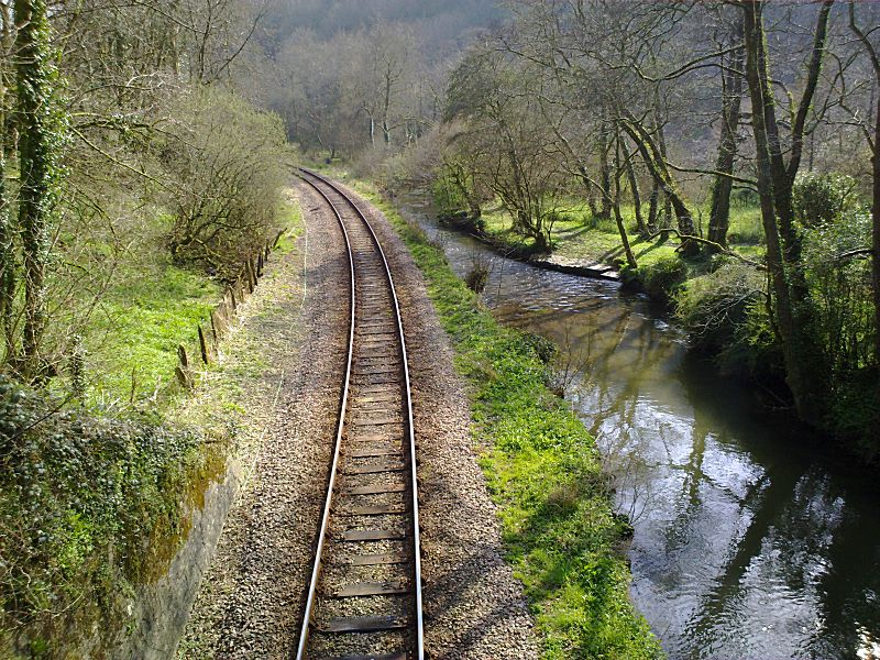 Looe Valley Line Tregarland Bridge