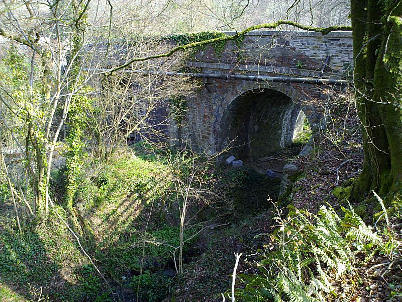 Looe Valley Line Landlooe Bridge