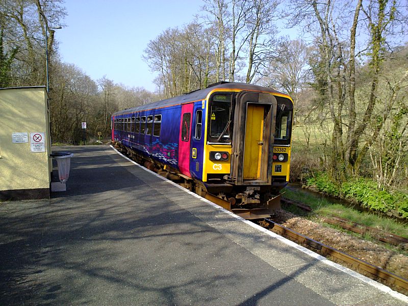 Looe Valley Line Causeland Train