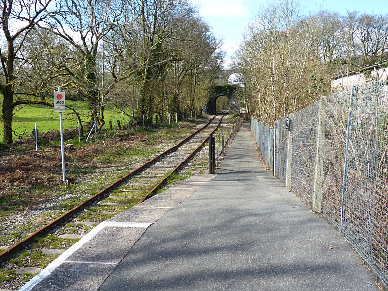 Looe Vally Line Coombe Junction Halt