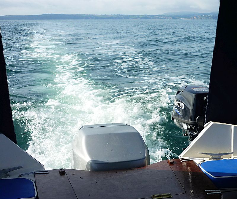 Adele Hardy Family Pilot at Sea