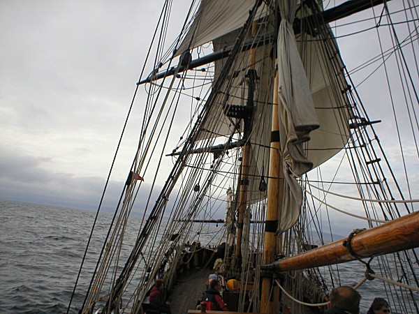 Square Rig Sailing the Phoenix