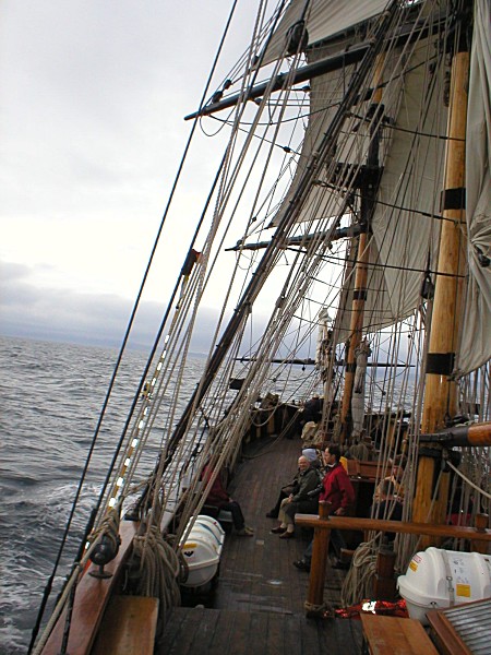 Square Rig Sailing the Phoenix