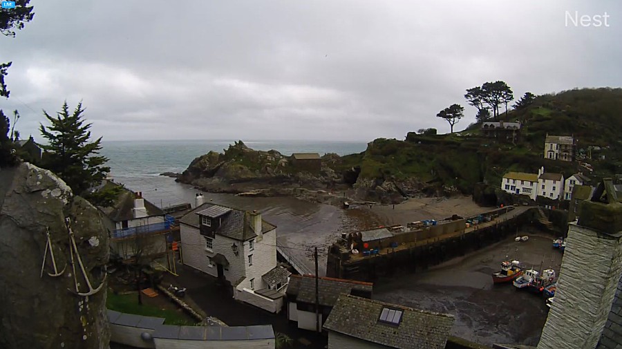 Polperro Harbour Webcam